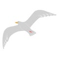 Vector cartoon illustration of the flying seagull. Flat design. Flying bird. Royalty Free Stock Photo